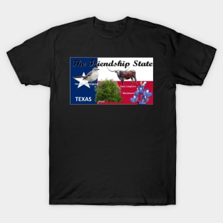 Texas State Flag and Symbols T-Shirt